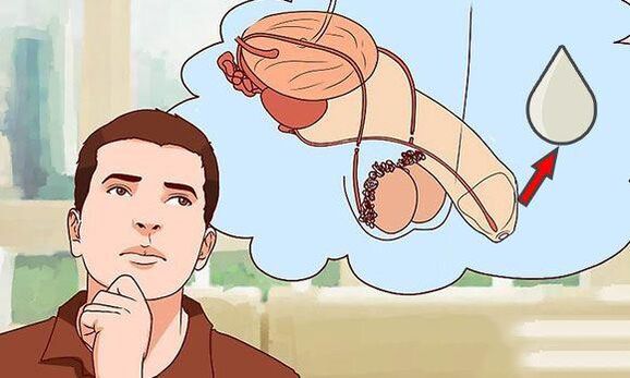 lubricación de la lubricación cuando se excita