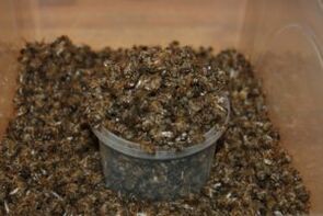Bee Dug para aumentar la potencia